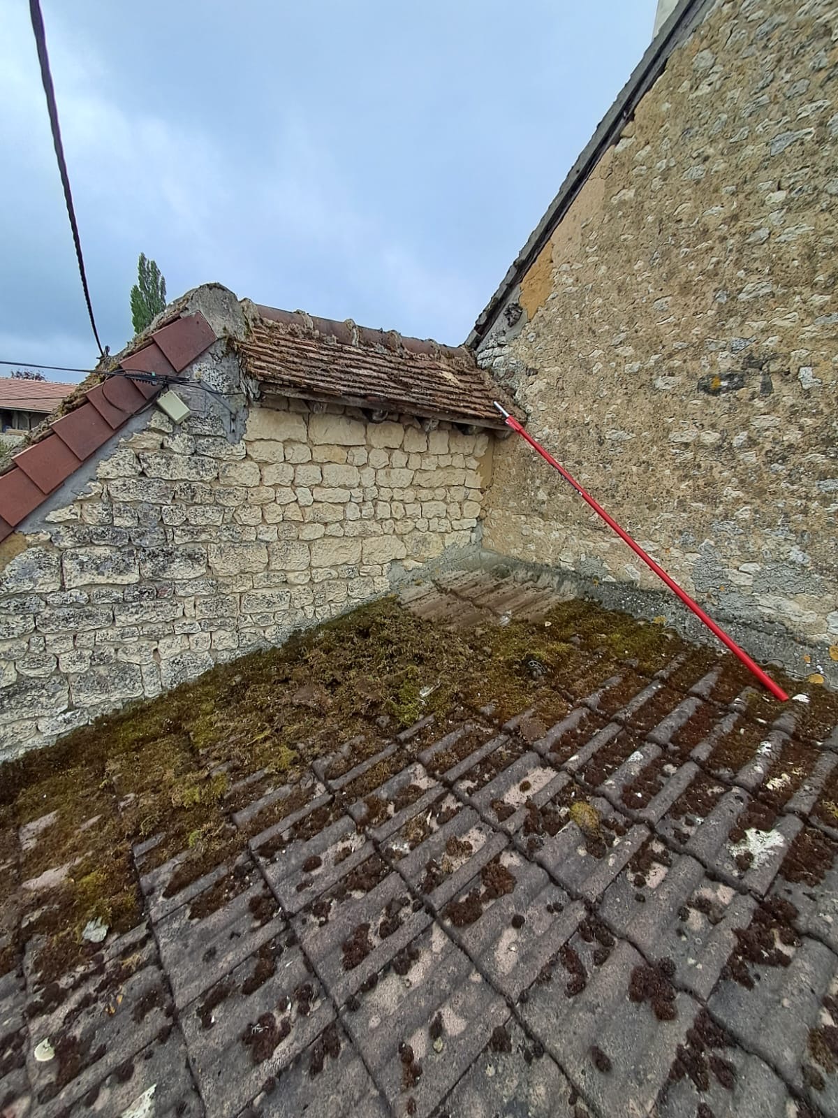 Démoussage d'appentis : avant traitement — Loir-et-Cher (41)