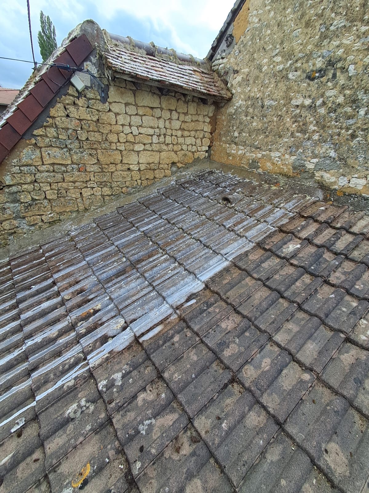 Traitement hydrofuge après nettoyage d'appentis — Loir-et-Cher (41)